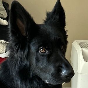 Meet your Posher, Paul